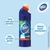 Domex Original Disinfectant Toilet Expert 1 L