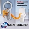 Domex Original Disinfectant Toilet Expert 1 L