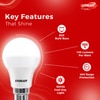 Eveready Cool Daylight White Light 6500K LED Bulb 9 Watt