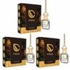 AIRGANIC Aroma Combo Offer: Oud Wonders |Pack 3| Aroma with Essential Oils in Glass Bottle with Wooden Diffuser Lid| Car Hanging Accessories| Car Accessories Interior