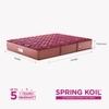 Peps Springkoil Bonnell 10-inch Single Size Spring Mattress (Maroon, 78x30x10)