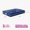 Peps Springkoil Bonnell Pillow Top 6-inch Single Size Spring Mattress (Dark Blue, 84x30x06)