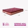Peps Springkoil Bonnell Pillow Top 6-inch Single Size Spring Mattress (Maroon, 84x30x06)