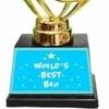 Meedoz Worlds Best Brother Trophy,"Worlds Greatest Brother Award Trophy Elegant Award for Achievements, Competitions, Corporate Events, Sports, and Celebrations | 9-Inch
