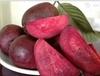 Zomoloco Guava PlantPeyara PlantRedwingz Exotic Chinese Red Guava Live Plant