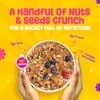 Yogabar Fruit and Nuts Muesli 500g