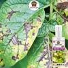 SANSAR AGRO: Fungus remover Spray, Premium Essential Liquid Spray for removing all types of Fungal Infections from Plants. (100 ml)
