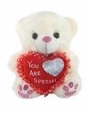 Tickles Plush Adorable Sitting Teddy with Heart Lightweight Stuffed Toy 26 cm 12M and Above