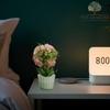 Five Seasons Artificial Pink Plants for Home Dcor| Artificial Plants with Pot | Artificial Plants for Decoration | Home Dcor Items for Living Room | Diwali Decoration Items Diwali Gifts