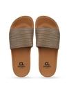 CL Sports Tan Flip flops for Women