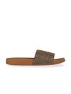 CL Sports Tan Flip flops for Women
