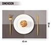 HOKIPO PVC Washable Set of 4 Placemats for Dining Table - 45x30 cm