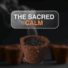 Manokamna Cow Dung Havan Cups - Lights Up Instantly with One Match Stick, 100% Natural Ingredients for Spiritual Cleansing and Daily Rituals | Traditional Havan Cups - Handcrafted Sambrani Dhoop Cups for Home and Puja (Sandalwood Pack of 1)