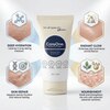 CARE ONE True Care Skin Cream for All Skin Types, Brightens and Heals, Deep Hydration, Daily Moisturizing Face Cream, 50g