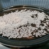 Rice Villa | Exotic | 26 kg | Miniket | Parboiled Rice