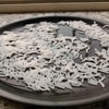 Rice Villa |  Super | 26 kg | 1121 Sella | Basmati Rice