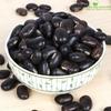 Tamransh Shudh Online Black Kaunch Beej Seed, 700 Seeds