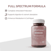 Healthcom Gut Sync (Probiotics) Capsules | 60 Capsules | Supports Gut Health, Digestion & Immunity