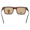 David Martin sunglasses for men & women Brown pack of 1