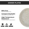ariya  11 Inches Melamine Dinner Plate Set of 6 (Classic Gold Grid) Microwave & Dishwasher Safe Dinnerware, Full Serving Plate Set for Snacks, Breakfast, Lunch, Dinner, Break Resistant, All Occasions