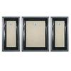 Indianara 3 Pc Set Of Lord Ganesha Paintings (1521) Without Glass 5.2 X 12.5, 9.5 X 12.5, 5.2 X 12.5 Inch