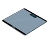 Hoffen KS-310 Grey Weighing Scale