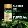 Zandu Punarnava - 60 capsules