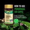 Zandu Punarnava - 60 capsules