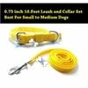 THE DDS STORE Nylone Pet Dog Collar Leash Set Dog Training Lead 10.FT Long Rope Cotton Nylon Webbing Recall Obedience Line Leash for Pet Best for Small to Medium Breed Dogs (10.Feet Leash & Collar 0.75 inch, Yellow).