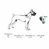 THE DDS STORE Nylone Pet Dog Collar Leash Set Dog Training Lead 10.FT Long Rope Cotton Nylon Webbing Recall Obedience Line Leash for Pet Best for Small to Medium Breed Dogs (10.Feet Leash & Collar 0.75 inch, Yellow).