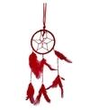 Rastogi Handicrafts Dream Catchers Wall Decor,Handmade Feather Decor Nursery Room Hanging