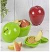 QinPin Apple Fruit Protection Lunch Box for School Kids(Pack of 3)
