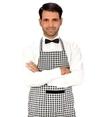 Switchon Multicolor Cotton Apron 23 inch