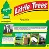 Little Trees New Car Scent Spray Air Freshener