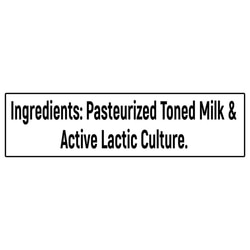 Milky Mist Curd 1 kg (Container) 6