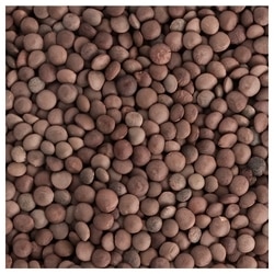 Best Farms Whole Masoor 500 g 5