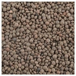 Good Life Whole Masoor 500 g 4