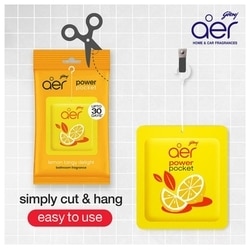 Godrej Aer Power Pocket Lemon Tangy Delight Bathroom Freshener 10 g 6