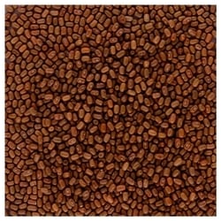 Good Life Moth Bean 500 g 4