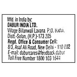 Dabur Honey Squeezy 225 g (Buy 1 Get 1 Free) 12