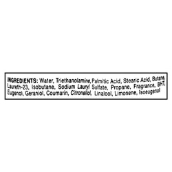 Gillette Regular Shaving Foam 50 g 6