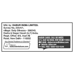 Dabur Neem Germ Protection Toothpaste (200 g+ 100 g) 10