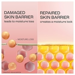 Lakme Skin Perfect Peach Milk Creme Moisturiser 200 g 10