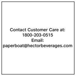 Paper Boat Nata De Coco Lychee Fruit Beverage 250 ml 9