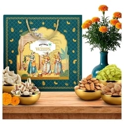 Nutraj Wishes Dry Fruits Gift Pack 1 kg 9