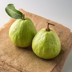 Thai Guava 2 pcs (Approx. 550 g - 700 g)