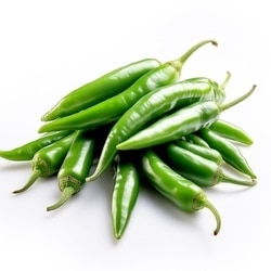 Chilli Green 100 g Pack 2