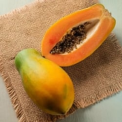 Papaya Mini Each