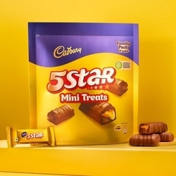 Cadbury Five Star Mini Treats 166.6 g