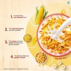 Kellogg's Corn Flakes 1.15 kg 8